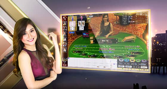 ŷ���°汾¡������